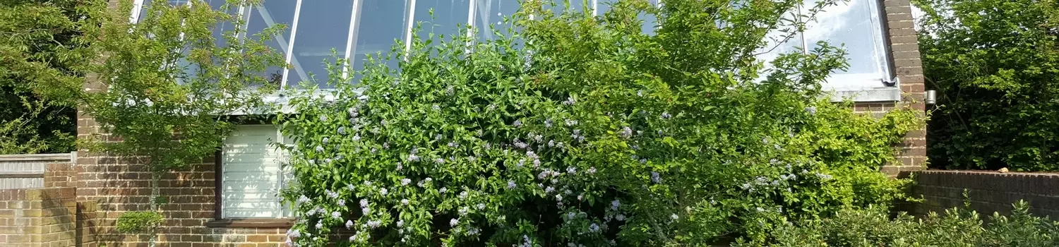 Mallards Windmill Field, Bosham